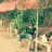 pandu microflasher